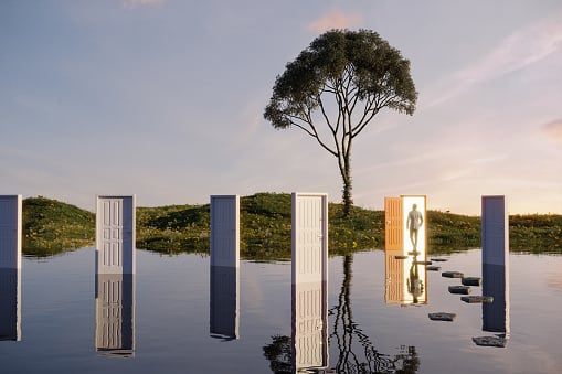 Jungian Life Coach Training